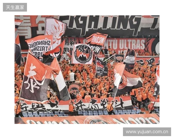 苗原谈泰山引援：账户里有200万水平购买力 但文旅决策尽量少花钱